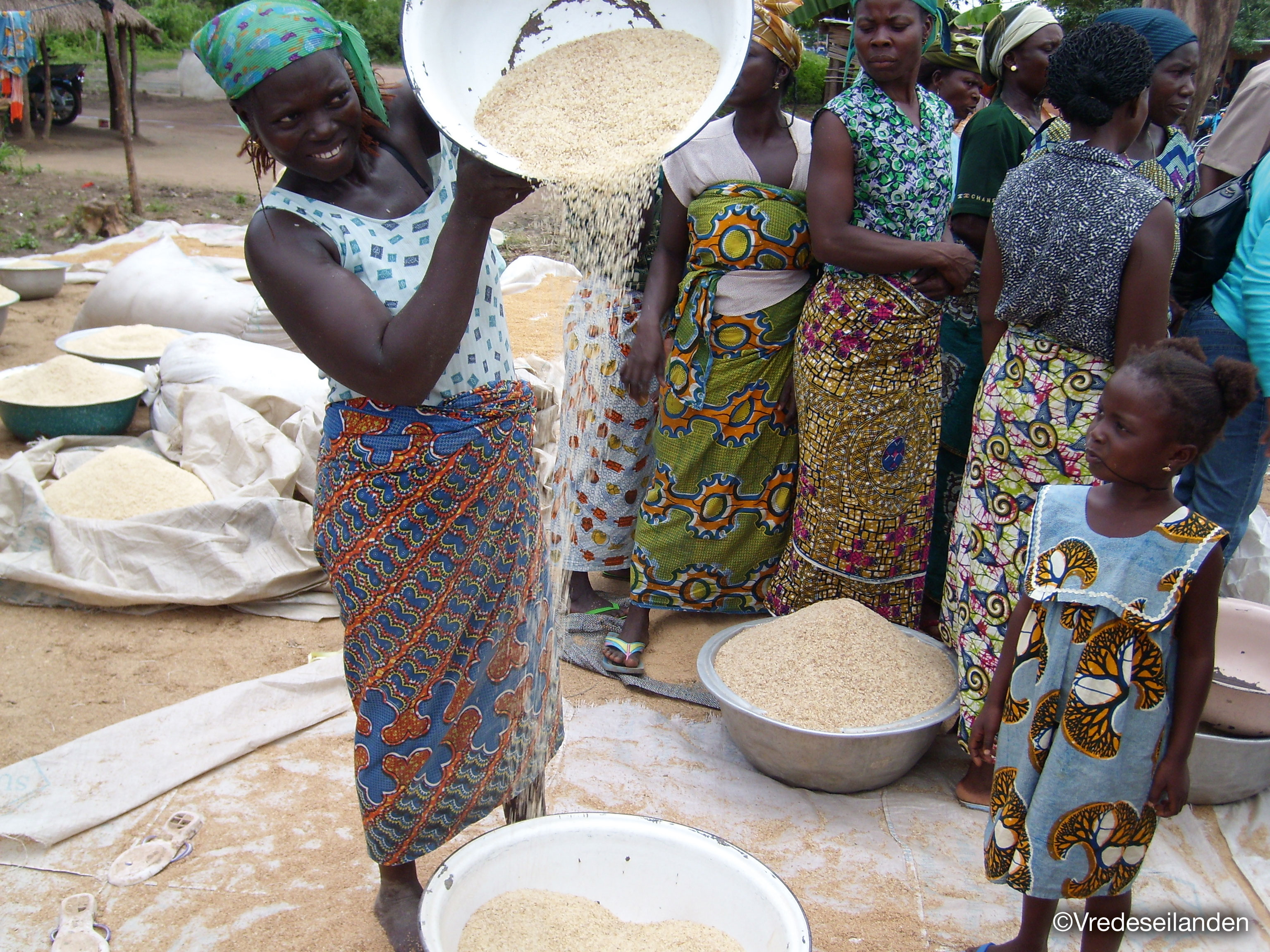 Dankzij Collibri Foundation vinden jongeren uit Benin werk in de rijstsector.