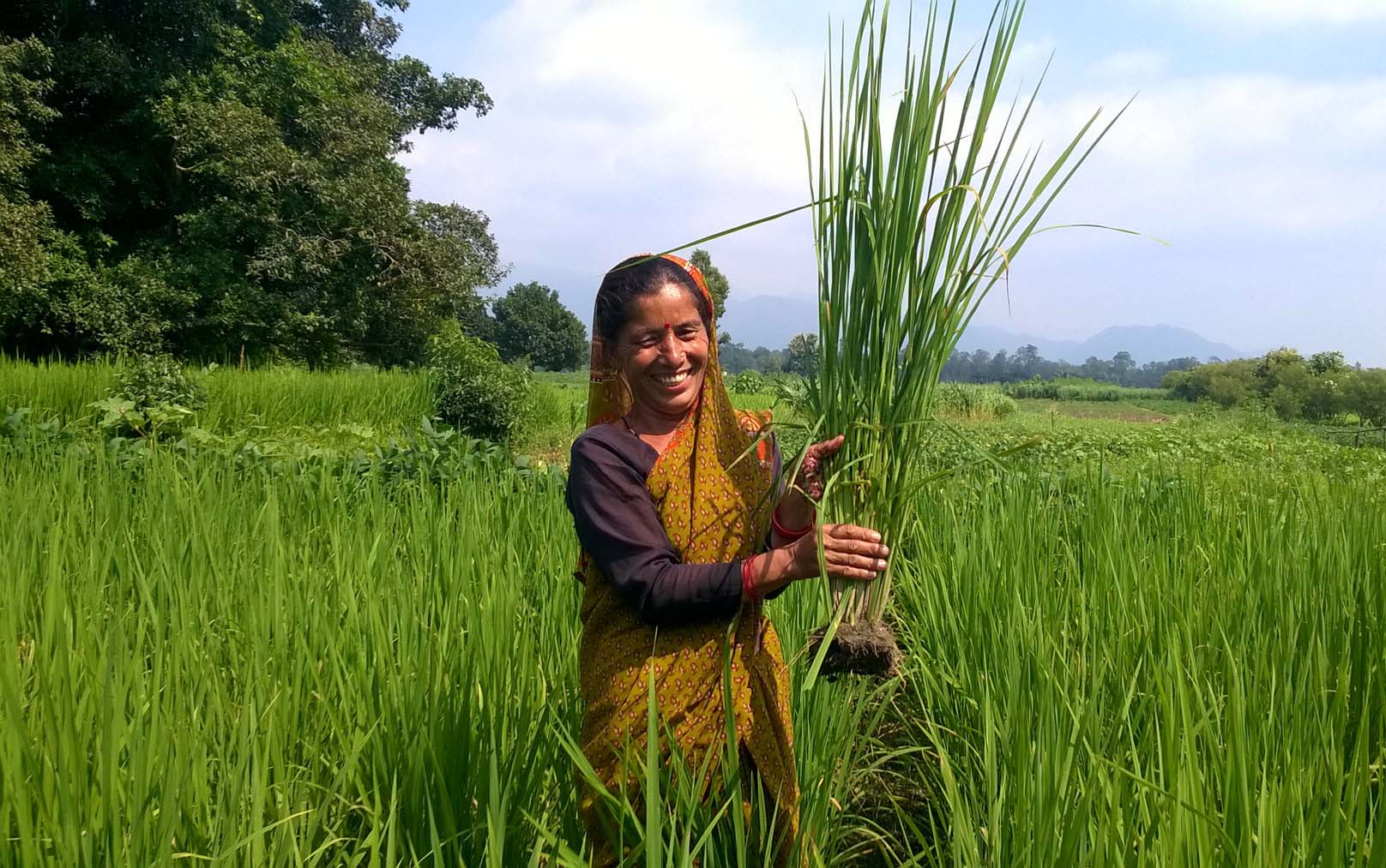 Une jeune femme brandit une récolte de riz